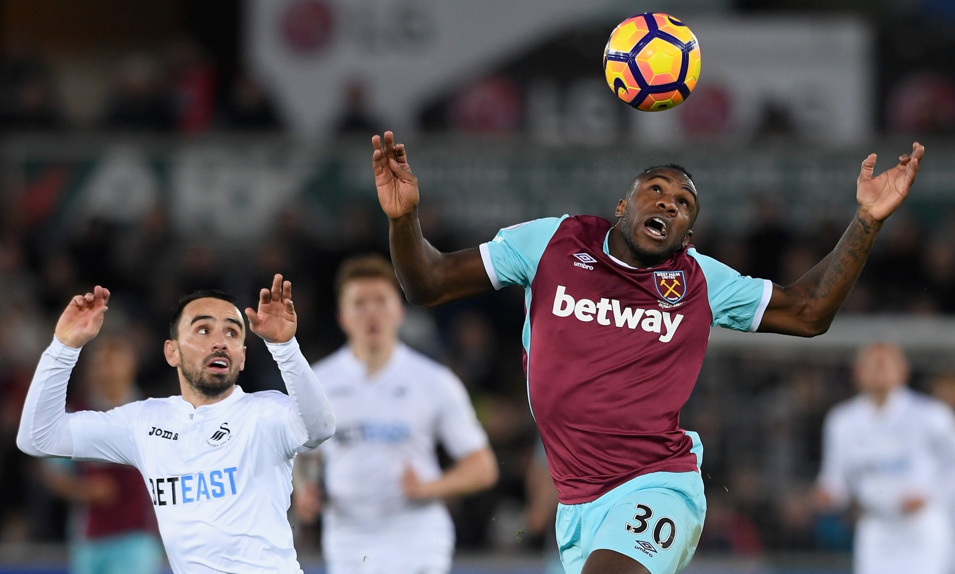 什琴斯尼用 什琴斯尼用